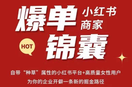 无畏·小红书商家爆单锦囊，掌握小红书各大规则，快速精准抢占行业和市场-知享知识库