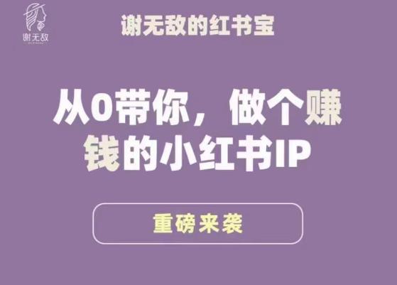 谢无敌·小红书运营大宝典，从0带你做个赚钱的小红书IP-知享知识库