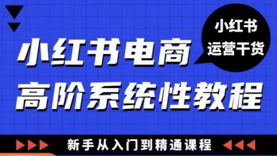 小红书电商高阶系统教程，新手从入门到精通系统课-知享知识库