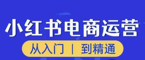 顽石小红书电商高阶运营课程，从入门到精通，玩法流程持续更新-知享知识库