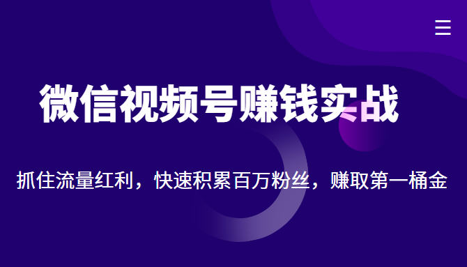 微信视频号赚钱实战:抓住流量红利,快速积累百万粉丝,赚取你的第一桶金-知享知识库