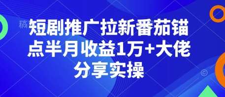 短剧推广拉新番茄锚点半月收益1万+大佬分享实操-知享知识库