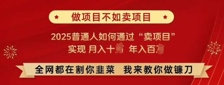 必看!做项目不如卖项目，2025普通人如何通过“卖项目”实现月入十个，年入百个【揭秘】-知享知识库