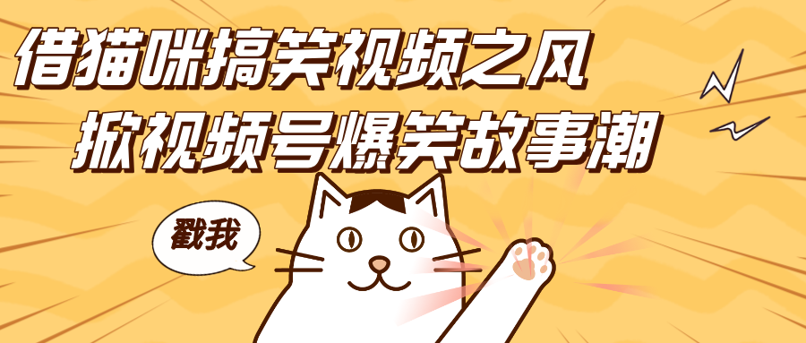 借猫咪搞笑视频之风,掀视频号爆笑故事潮,轻松日赚四位数,开启无门槛赚钱新体验!-知享知识库