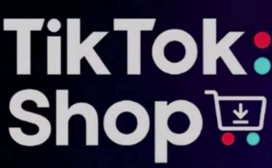 TikTokShop跨境电商0-1实战，手把手教你低成本启动海外市场-知享知识库