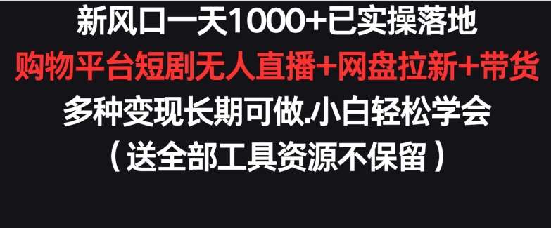新风口一天1000+已实操落地购物平台短剧无人直播+网盘拉新+带货多种变现长期可做【揭秘】-知享知识库