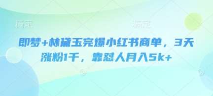 即梦+林黛玉完爆小红书商单，3天涨粉1千，靠怼人月入5k+-知享知识库