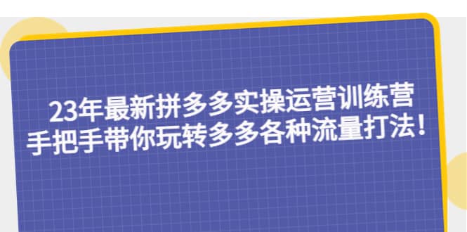 23年最新拼多多实操运营训练营：手把手带你玩转多多各种流量打法！-知享知识库