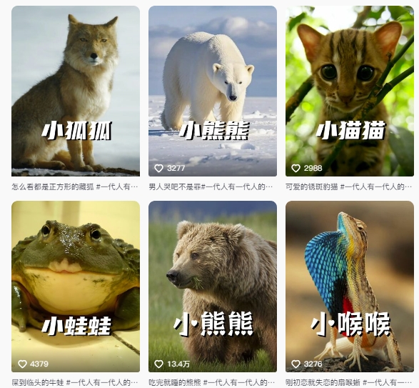 图片[2]-最新搞笑动物百科详细解说课程，蓝海赛道，流量非常大，轻松签独家进精选-知享知识库