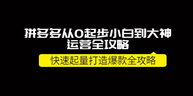 拼多多从0起步小白到大神运营全攻略-知享知识库