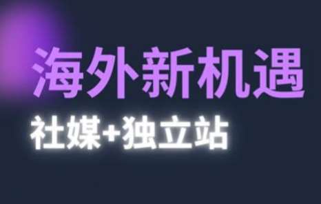 2025出海新机遇(社媒+独立站)，海外新机遇，实现独立站的高效运营与出海-知享知识库