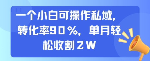 一个小白可操作私域，转化率90%，单月轻松收割2W-知享知识库