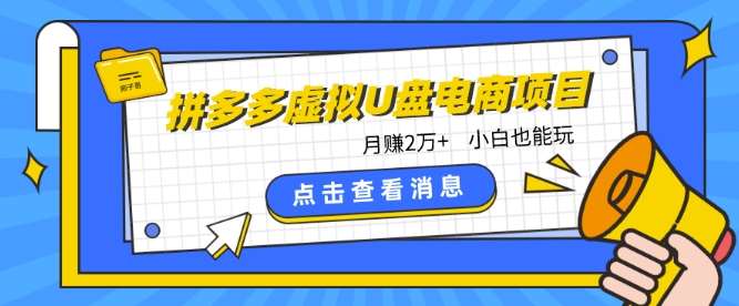 拼多多虚拟U盘电商红利项目：月赚2万+，新手小白也能玩-知享知识库