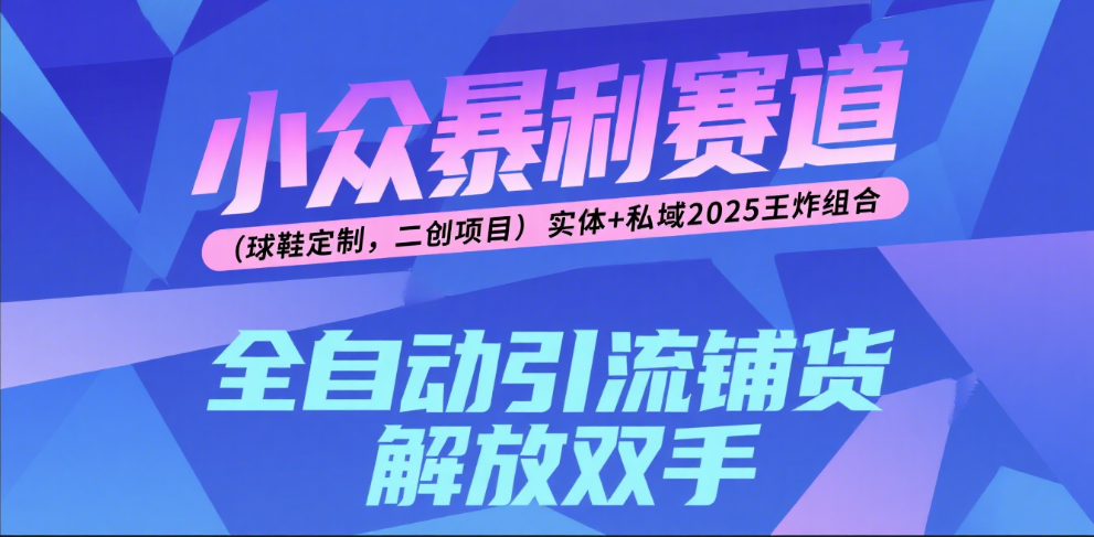 楠—小众暴利赛道（球鞋定制，二创项目）实体+私域2025王炸组合-知享知识库