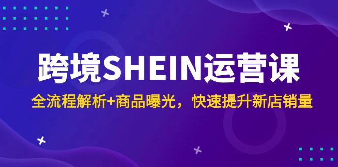 （14832期）跨境SHEIN运营课，全流程解析+商品曝光，快速提升新店销量-知享知识库