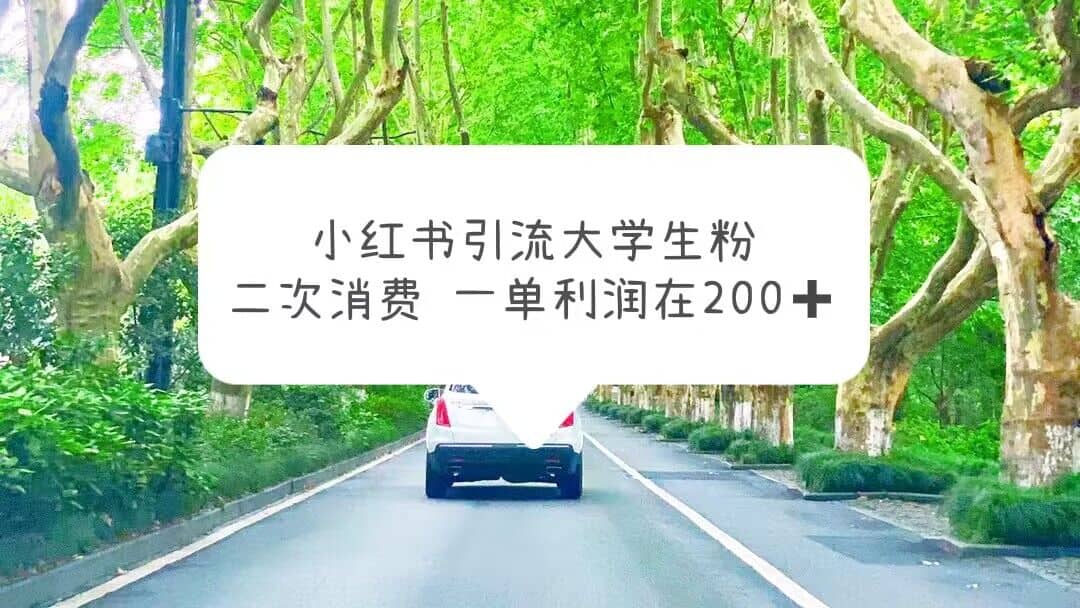 小红书引流大学生粉,变现项目,一单利润在200+(教程+资源)-知享知识库