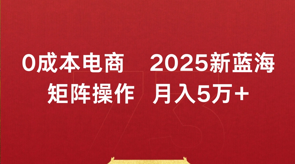0成本电商2025新蓝海矩阵操作 月入5万+-知享知识库