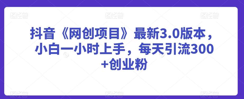 抖音《网创项目》最新3.0版本，小白一小时上手，每天引流300+创业粉【揭秘】-知享知识库