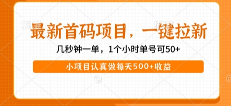 最新首码项目,操作最简单,收益高,一键拉新,1个小时单号可50+,小项目认真做每天5张+收益【揭秘】-知享知识库