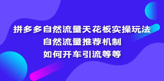 拼多多自然流量天花板实操玩法：自然流量推荐机制，如何开车引流等等-知享知识库