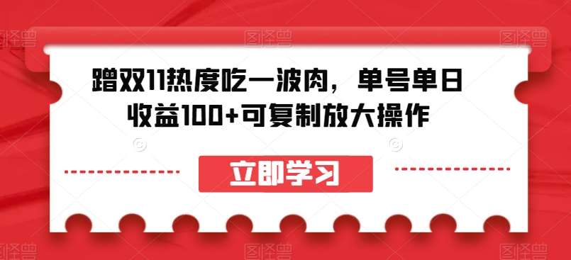 蹭双11热度吃一波肉，单号单日收益100+可复制放大操作【揭秘】-知享知识库
