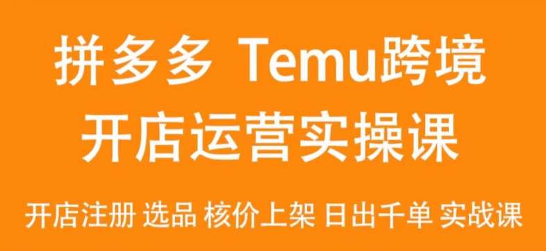 2024Temu最新玩法，Temu跨境开店运营实操课，开店注册/选品/核价上架/日出千单实战课-知享知识库