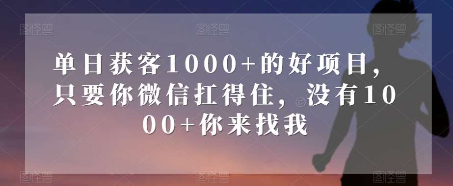 单日获客1000+的好项目,只要你微信扛得住,没有1000+你来找我【揭秘】-知享知识库