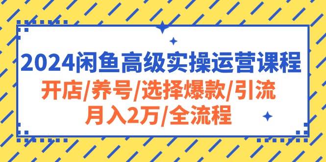 2024闲鱼高级实操运营课程：开店/养号/选择爆款/引流/月入2万/全流程-知享知识库