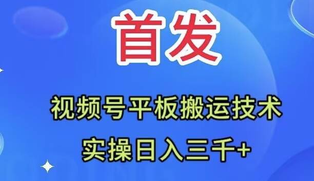 全网首发：视频号平板搬运技术，实操日入三千＋-知享知识库