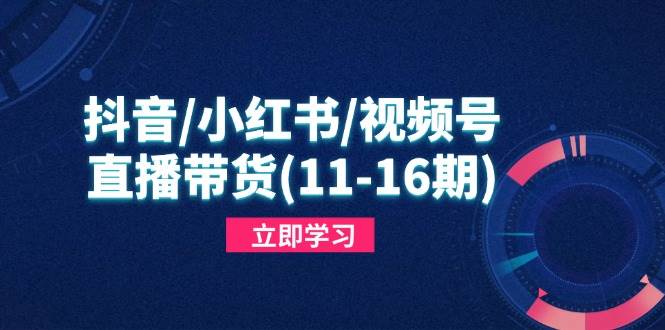（14611期）抖音/小红书/视频号/直播带货(11-16期)，快速掌握平台规则，打造爆款内容-知享知识库