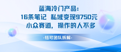 蓝海项目：16条笔记私域变现9750米小众赛道操作的人不多-知享知识库