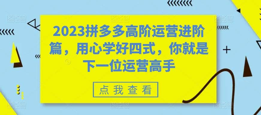 2023拼多多高阶运营进阶篇,用心学好四式,你就是下一位运营高手-知享知识库