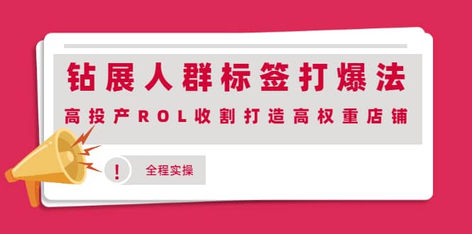 钻展人群标签打爆法,高投产ROL收割打造高权重店铺(全程实操)-知享知识库