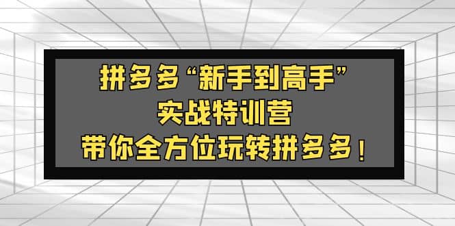 拼多多“新手到高手”实战特训营:带你全方位玩转拼多多-知享知识库