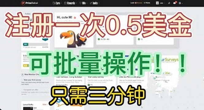 国外项目注册一次0.5美金 只需三分钟无脑操作 可批量放大 小白工作室福利-知享知识库