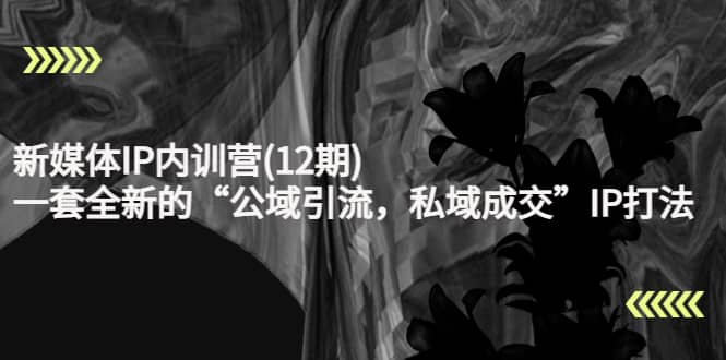 新媒体IP内训营(12期)，一套全新的“公域引流，私域成交”IP打法，直接带走-知享知识库
