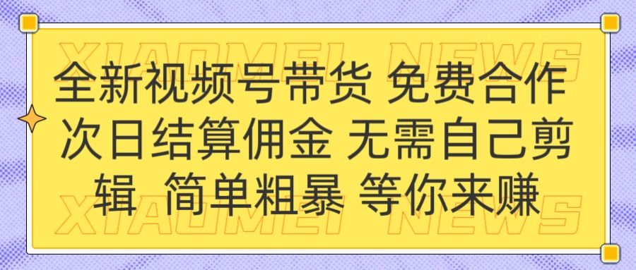 全新视频号 免费合作 佣金次日结算 无需自己剪辑-知享知识库