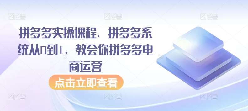 拼多多实操课程，拼多多系统从0到1，教会你拼多多电商运营-知享知识库