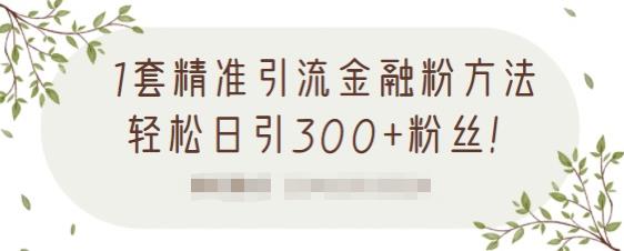 1套精准引流金融粉方法，轻松日引300+粉丝【视频课程】-知享知识库