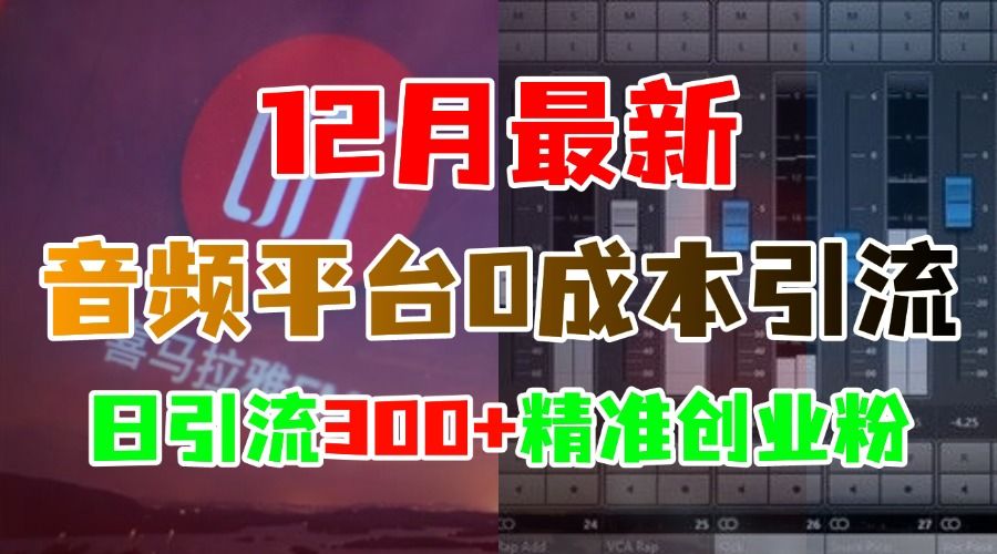 12月最新：音频平台0成本引流，日引300+精准创业粉-知享知识库