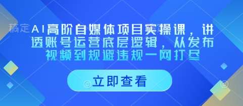 AI高阶自媒体项目实操课，讲透账号运营底层逻辑，从发布视频到规避违规一网打尽-知享知识库