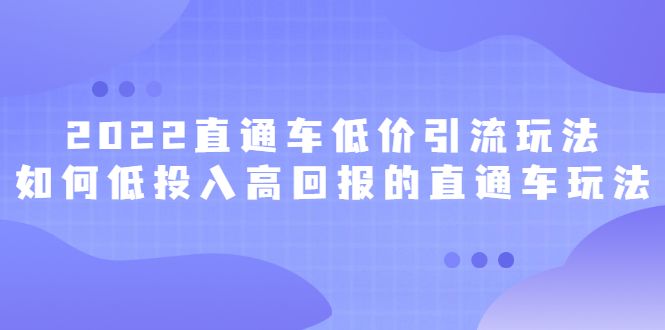 2022直通车低价引流玩法,教大家如何低投入高回报的直通车玩法-知享知识库