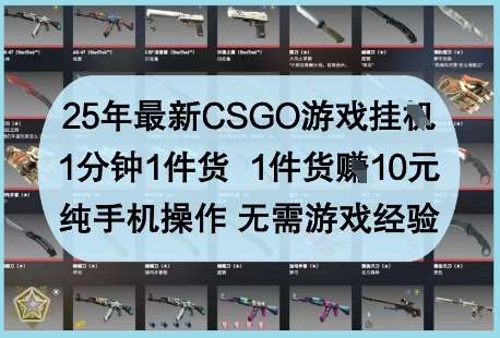 25年最新CSGO游戏挂G,1分钟1件货,1件货挣10元,纯手机操作,无需游戏经验【揭秘】-知享知识库