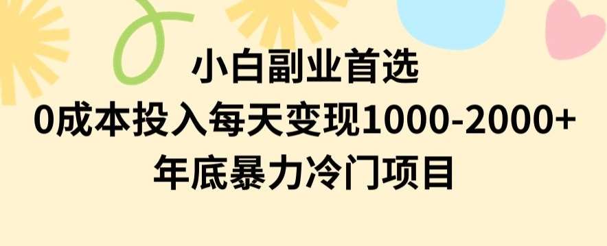 小白副业首选，0成本投入，每天变现1000-2000年底暴力冷门项目【揭秘】-知享知识库