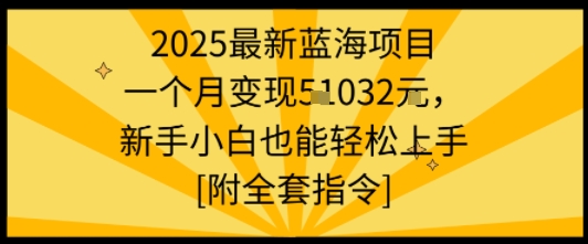 2025最新蓝海项目一个月变现1w+新手小白也能轻松上手【附全套指令】-知享知识库