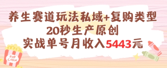 养生赛道玩法私域+复购类型，20秒生产原创实战单号月收入5k+-知享知识库