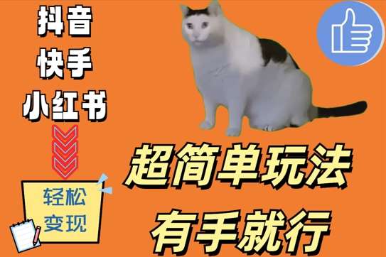 超简单玩法，有手就行，靠猫咪视频日入500+【揭秘】-知享知识库