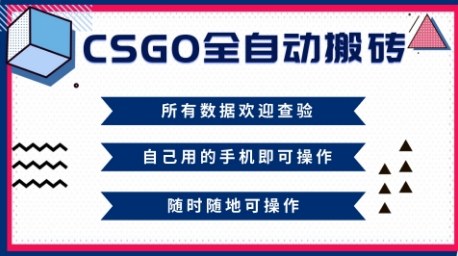 CSGO全自动搬砖，年底钱回家好项目，当天可拿到结果，新手小白轻松月入1W+【揭秘】-知享知识库