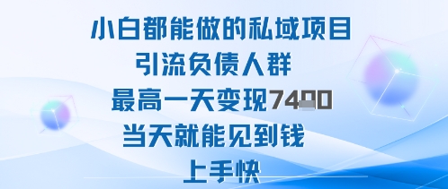 2025年小白都能做的私域项目引流负债人群最高一天变现1k+高变现难度低当天就能见到钱上手快-知享知识库
