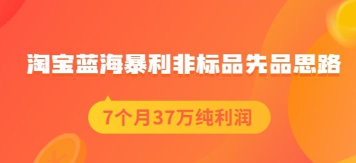 盗坤淘宝蓝海暴利非标品先品思路,7个月37万纯利润,压箱干货分享!【付费文章】-知享知识库